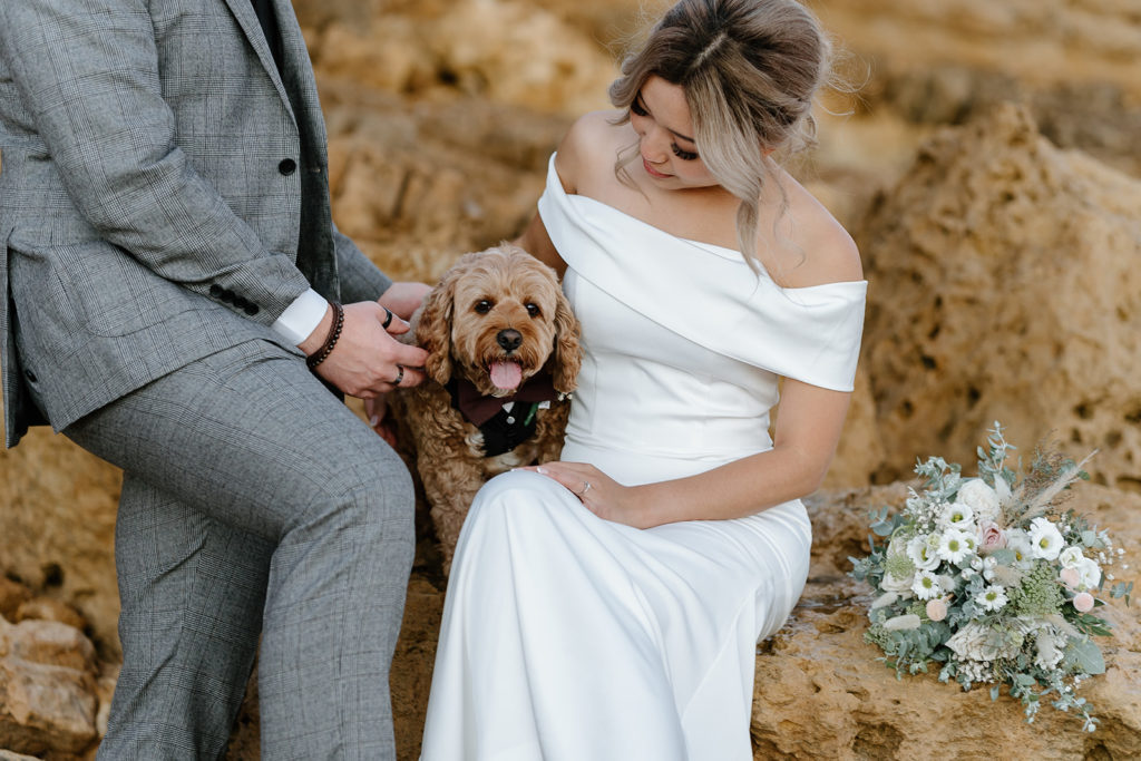 How to include your dog in your elopement experience